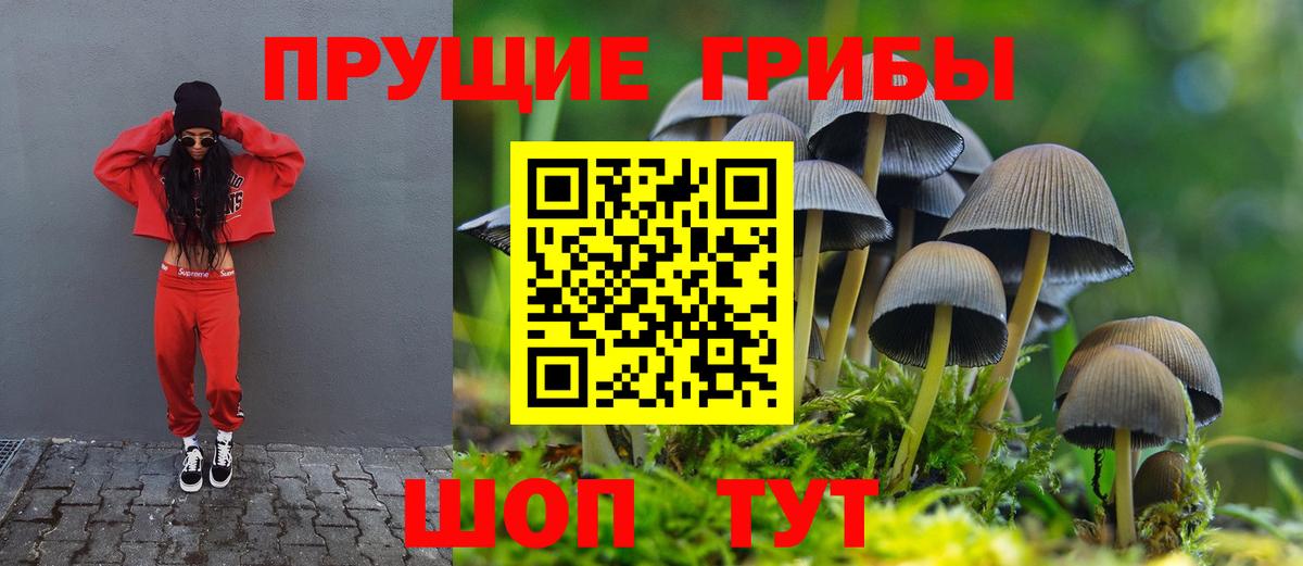 Псилоцибиновые грибы Cubensis  Вход с VPN  Екатеринбург 